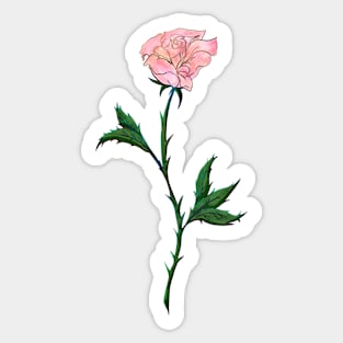 Pink Rose Sticker